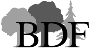 BDF
